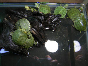 DSCN2456.JPG