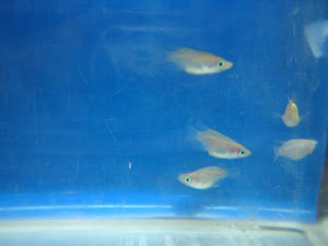 DSCN2455.JPG