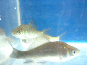 DSCN2463.JPG