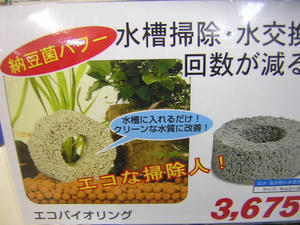 DSCN2558.JPG