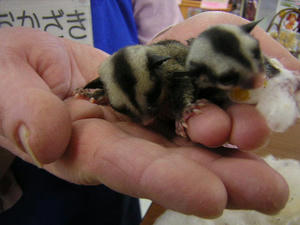 DSCN2563.JPG