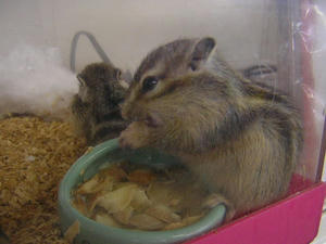 DSCN2568.JPG