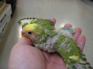 DSCN2693.JPG