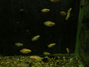 DSCN2706.JPG
