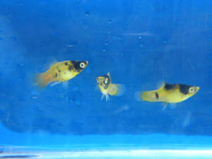 DSCN2790.JPG