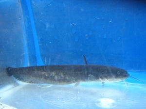 DSCN2779.JPG