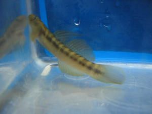 DSCN2798.JPG