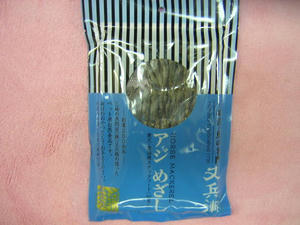 DSCN2844.JPG