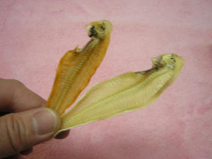DSCN2848.JPG