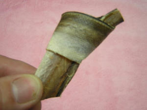 DSCN2850.JPG