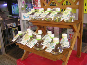 DSCN2890.JPG