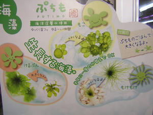 DSCN2891.JPG
