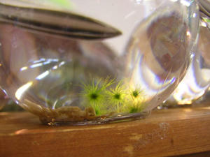 DSCN2895.JPG