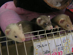 DSCN2984.JPG