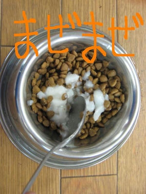 3498f6b5.jpeg