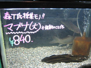 c49fbb81.jpeg