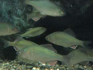 IMG_7513.JPG