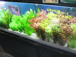 IMG_7578.JPG