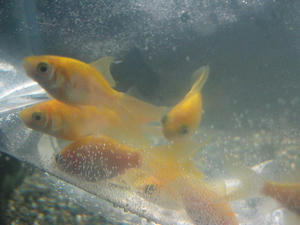 IMG_7795.JPG