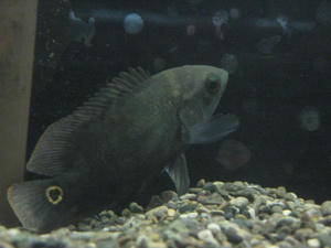 IMG_7811.JPG
