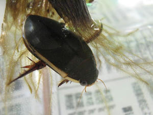 IMG_7829.JPG
