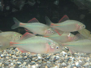 IMG_7837.JPG