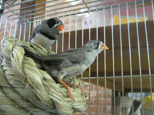 IMG_7882.JPG