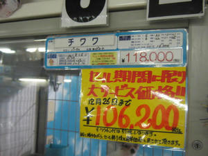IMG_8185.JPG