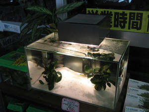 IMG_8328.JPG
