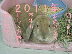 IMG_8423.JPG