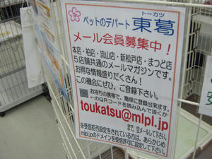 IMG_8632.JPG