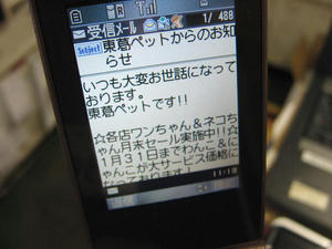 IMG_8627.JPG