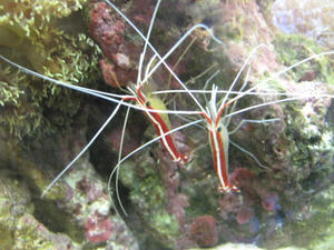 IMG_8686.JPG