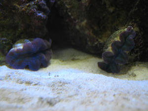 IMG_8685.JPG