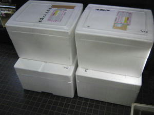 IMG_8707.JPG