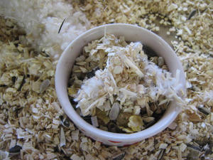 IMG_8911.JPG
