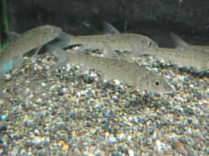 IMG_9094.JPG