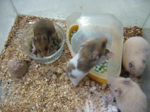 IMG_9734.JPG