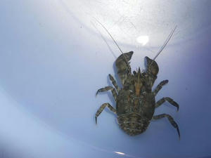 DSCN0139.JPG