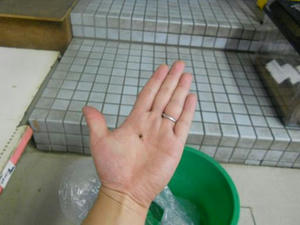 DSCN0126.JPG