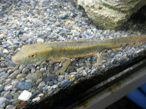 DSCN0119.JPG