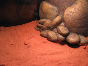 IMG_9757.JPG