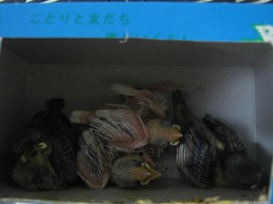 IMG_9899.JPG