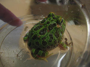 IMG_9925.JPG