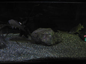IMG_9968.JPG