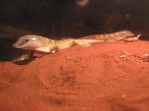 IMG_0160.JPG