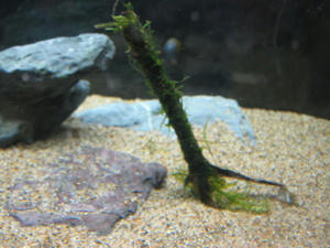 IMG_0486.JPG