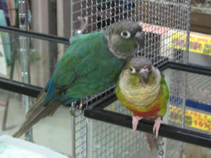 IMG_0970.JPG