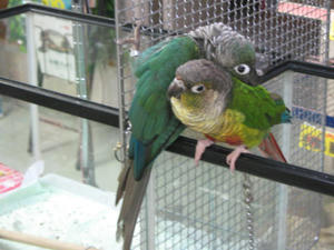 IMG_0967.JPG