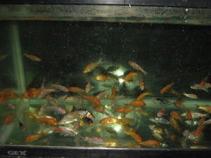 IMG_1097.JPG